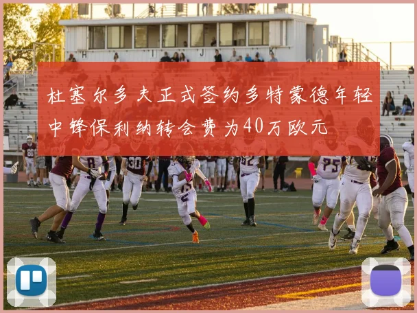 杜塞尔多夫正式签约多特蒙德年轻中锋保利纳转会费为40万欧元