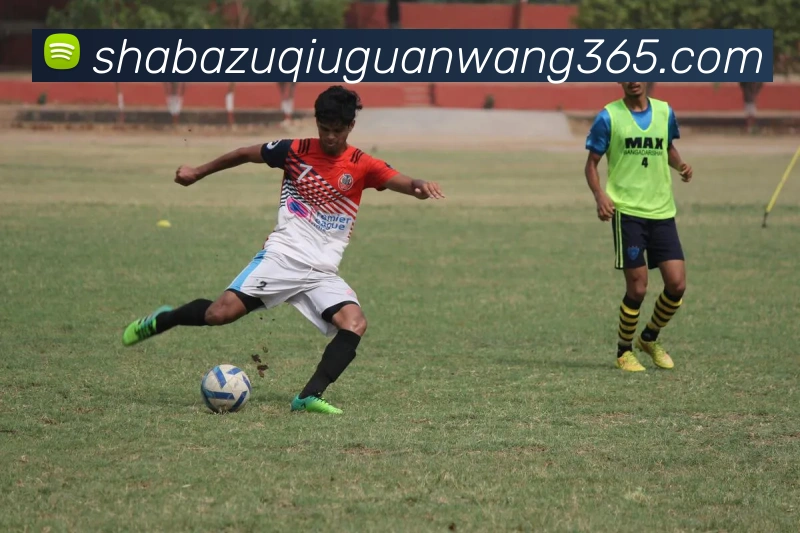 沙巴体育APP 封面图