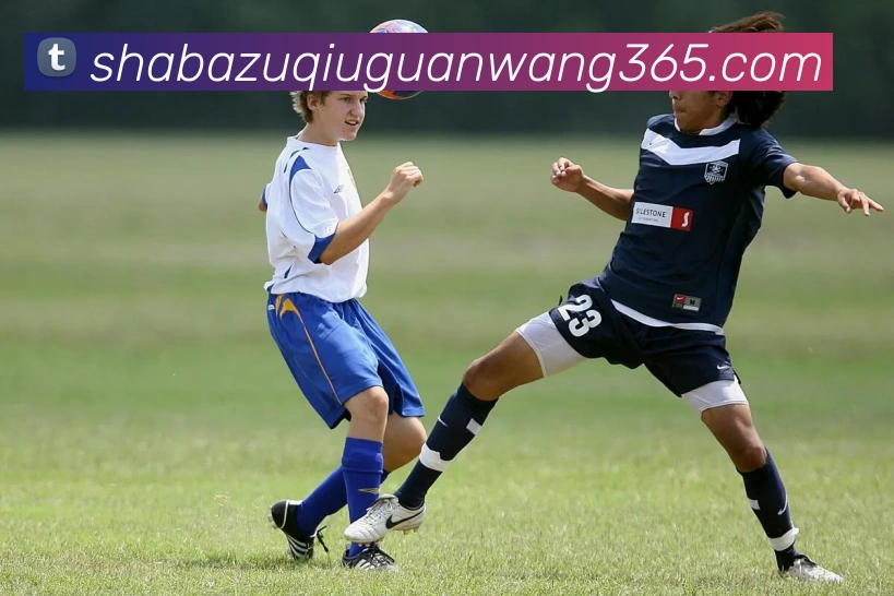 数据防护可视化